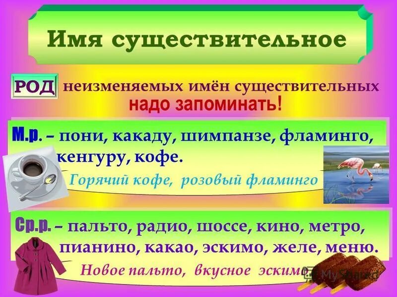 Род слова свежо. Род имен существительных. Род имен существительных кенгуру. Род имен существительных кофе. Род существительных шимпанзе кенгуру.