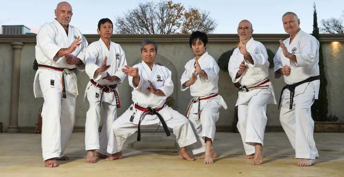 Каратэ токио. Пояса в карате по порядку по цвету. Система карате. Система карате. Каратэ японцы.