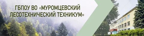 Сайт лесного техникума