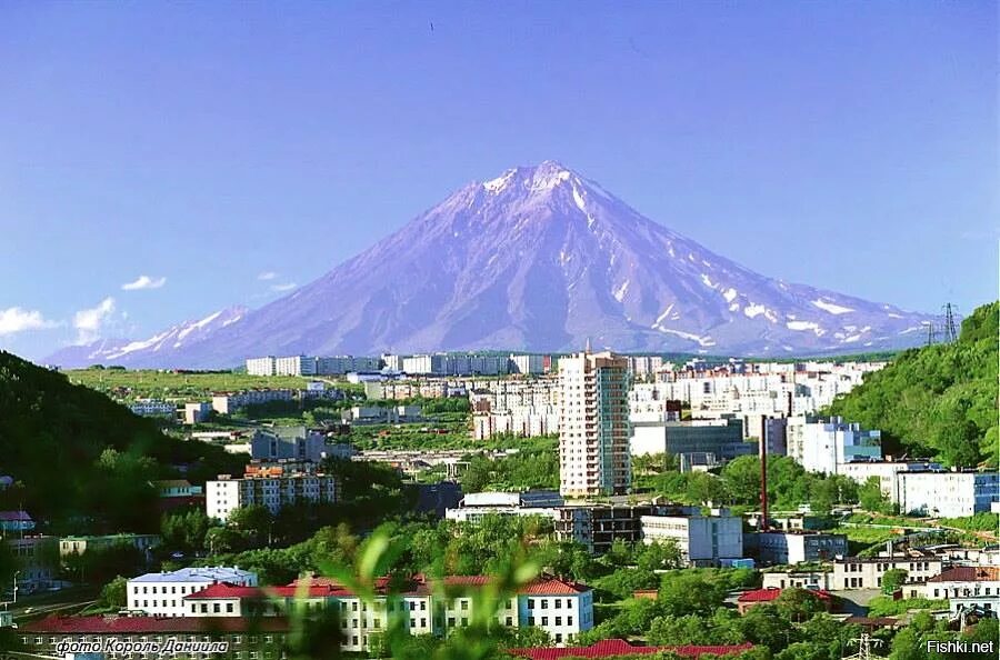Центр семьи петропавловск камчатский. Петропавловск-камчатский исторический центр. петропавловск-камчатский центр города. петропавловск камчатка. петровск камчатский.