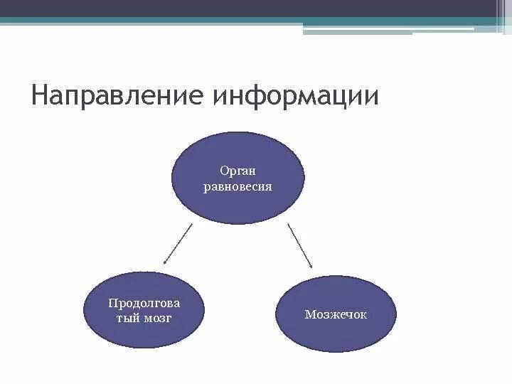 О направлении информации. О направлении сведений. О направление информации или направлении. Информация о направлениях компании.