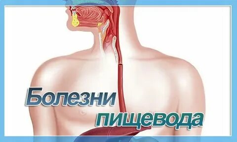Больно пищевод