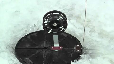 Количество жерлиц на одного рыболова 2023