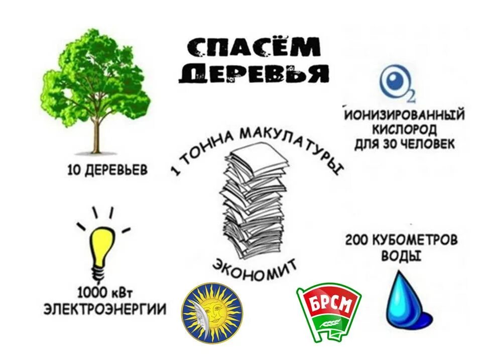 Собери макулатуру сохрани дерево. Акция собери макулатуру сохрани дерево. сохрани дерево картинки. акция сохрани дерево.