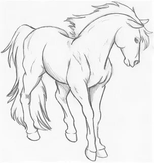 Лошадь Картинки Рисунки (51 Фото)
