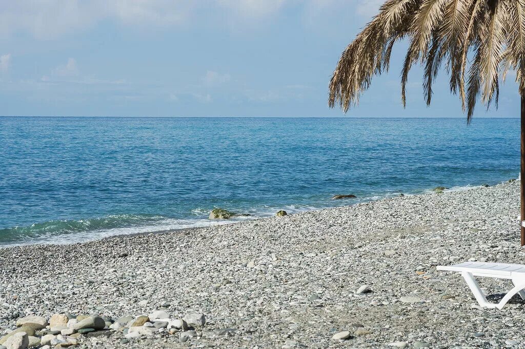 Абхазия Гагры море. Сочи пляж Гагра. Климат Гагры Абхазия. Орхидея Гагра Абхазия. Абхазия гагры температура