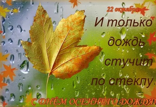 Доброго дня октябрь дождь