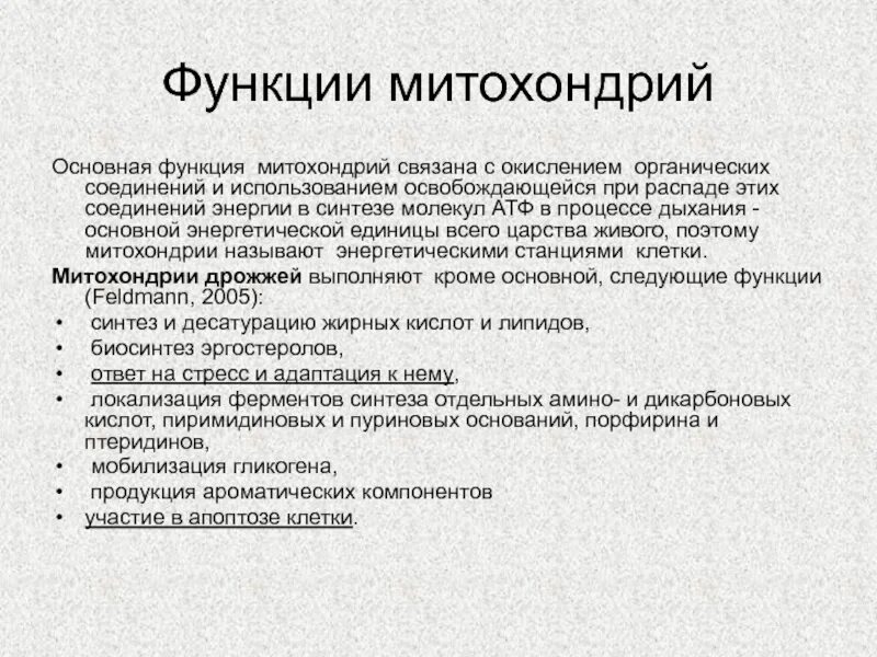 Функции митохондрий 1. Основные функции митохондрий. Основная функция митохон. Основная функция митохондрий.