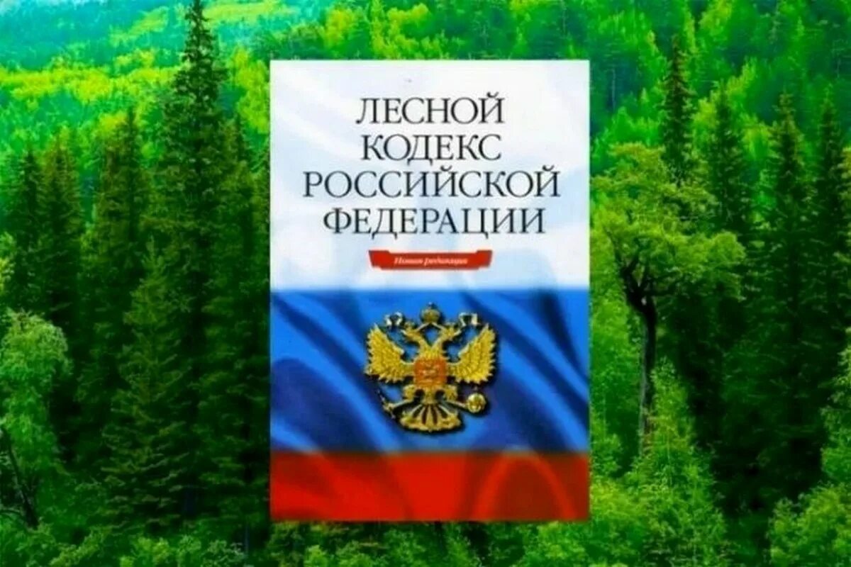 Лесной кодекс Российской Федерации книга. Лесной. Лесной кодекс 2021. Земельный и Лесной кодексы. Изменение зк рф