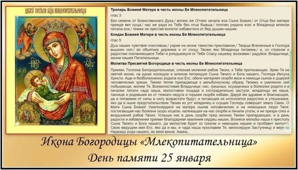 Молитва божьей матери в родах. Млекопитательница молитва Богородице млекопитательнице. Млекопитательница икона Божией матери молитва. Икона Богородицы Млекопитательница Тропарь. 25 Января икона Божией матери Млекопитательница.