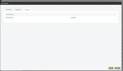 Email field