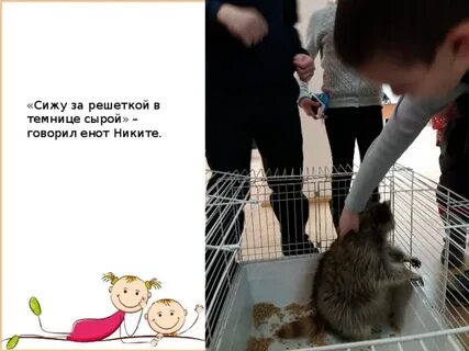 Сижу сырой