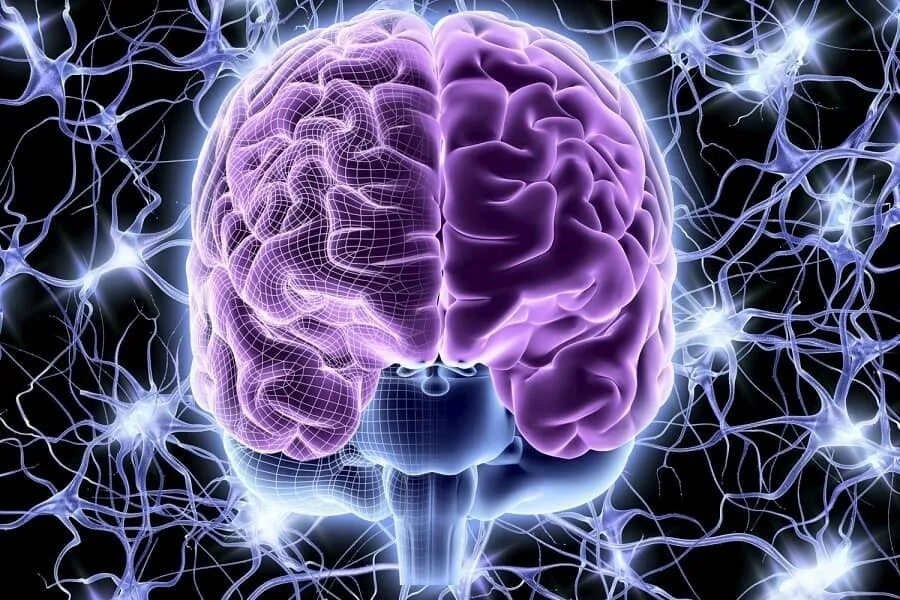 Изображение мозга. Красивый мозг. Фон эпилепсия