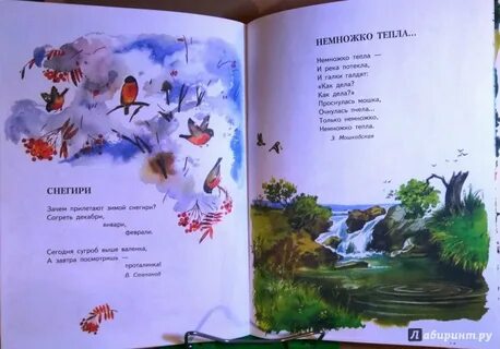 Стихотворение абрамова