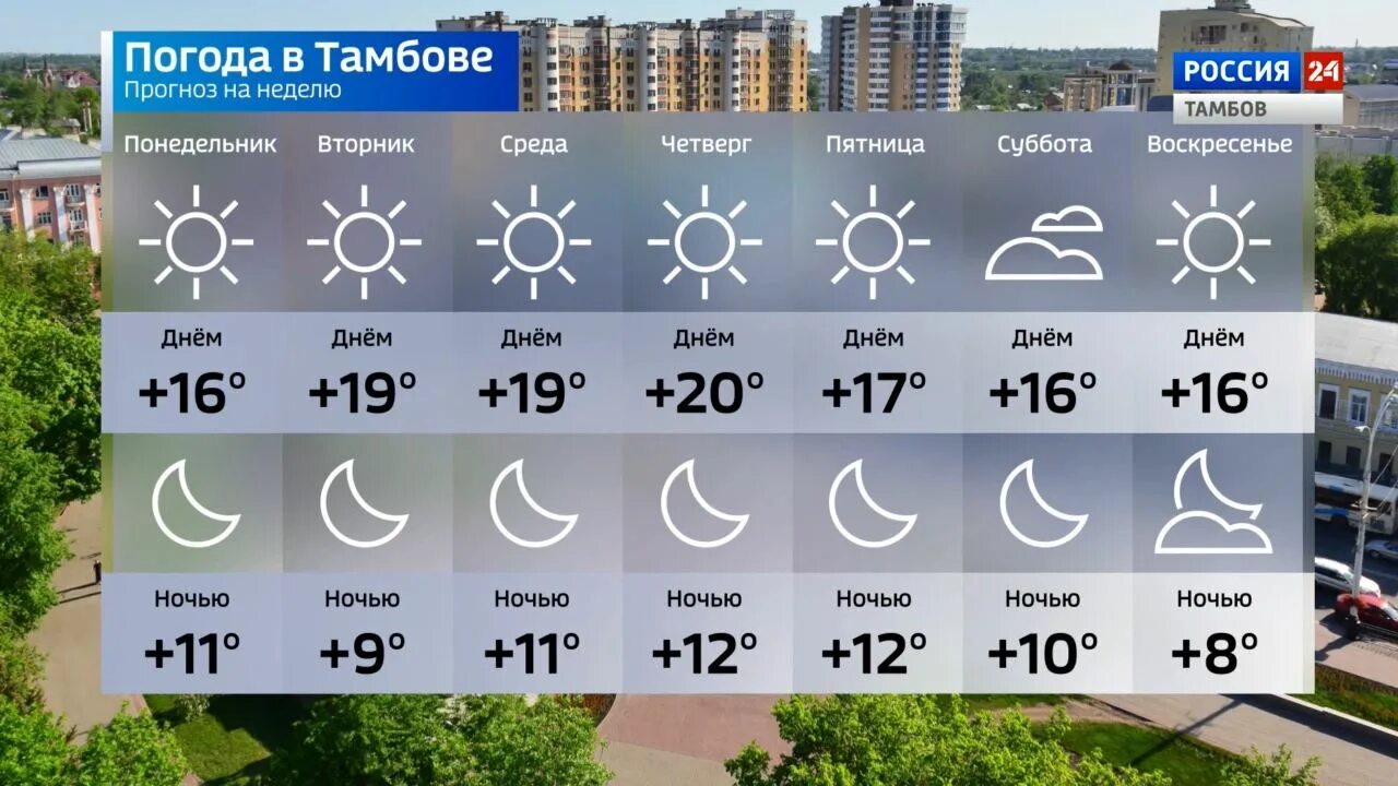 Какая погода 20 в городе. Погода на следующую неделю. Погода в Тамбове на неделю на 14. Прогноз погоды в Тамбове на неделю. Прогноз в Тамбове на неделю.