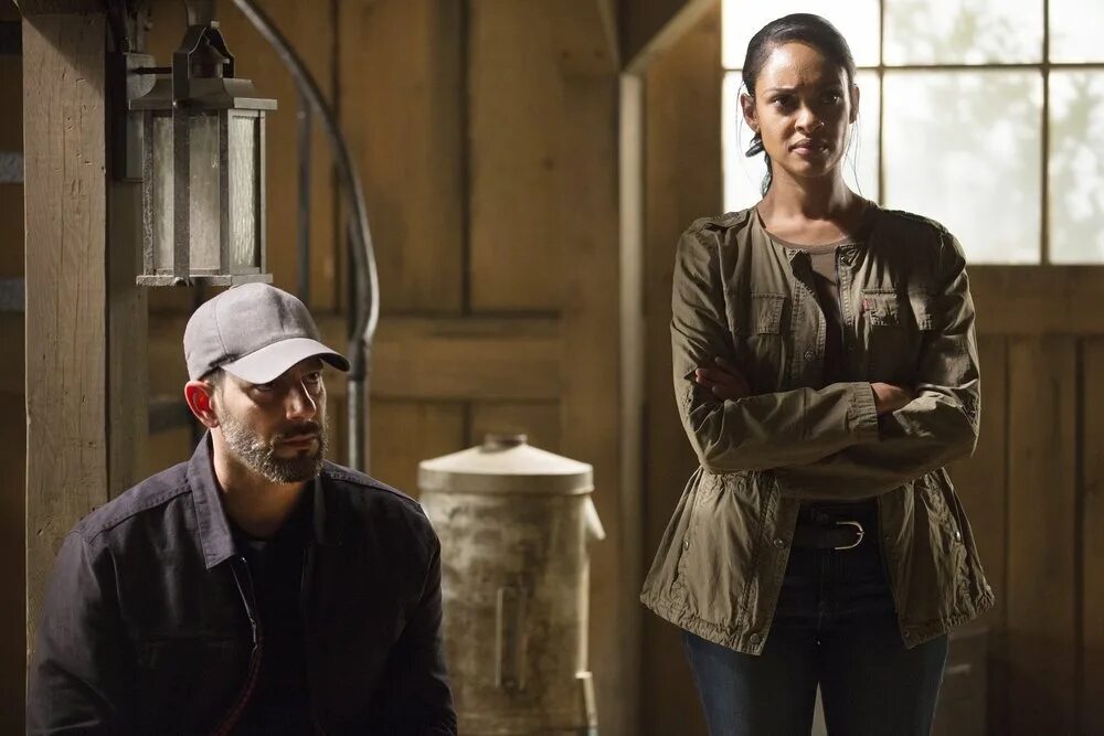 покрашенный линчеватель скота. люди эпизоды. юлия йенч офчарек. пассажиры фильм 2016 дженнифер лоуренс и крис прэтт. стрелок 2 сезон русский сериал.