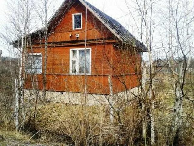 Снт луговая территория. Дача толмачево лужский. Снт в луге. Снт в луге. Снт в луге.