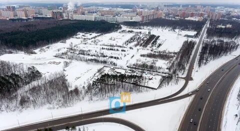 Северное города одинцово раскинулся подушкинский лес