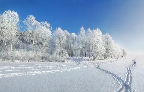 Морозный денек