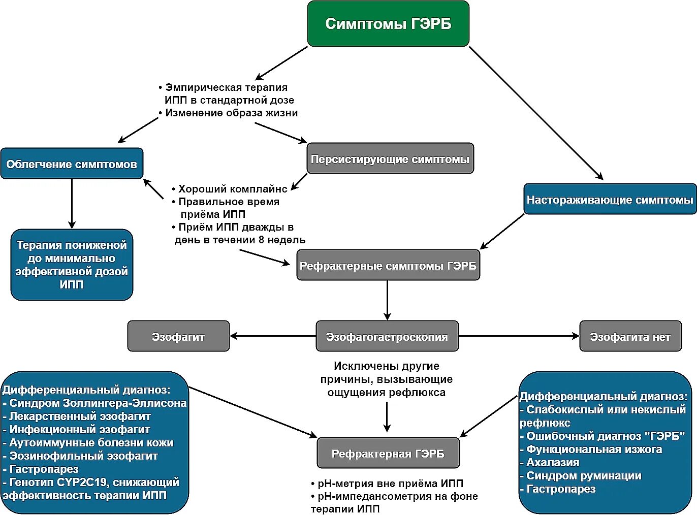 Диагностика рефлюкса. Гастроэзофагеальный рефлюкс дифференциальный диагноз. ГЭРБ диагностический алгоритм. Свойство ИПП В терапии ГЭРБ. Гастроэзофагеальная рефлюксная болезнь дифф диагностика.