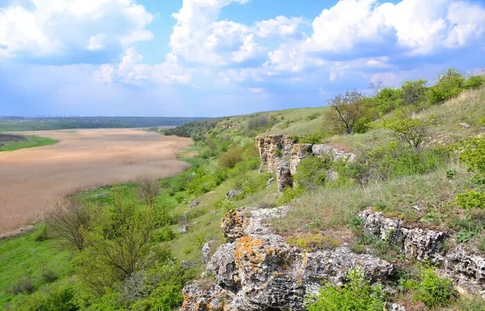 Покровка Николаевская область. Покровка Очаковский район Николаевская область. Градовка Николаевская область. Николаевская область Приингульский региональный парк. Погода николаевская область на месяц