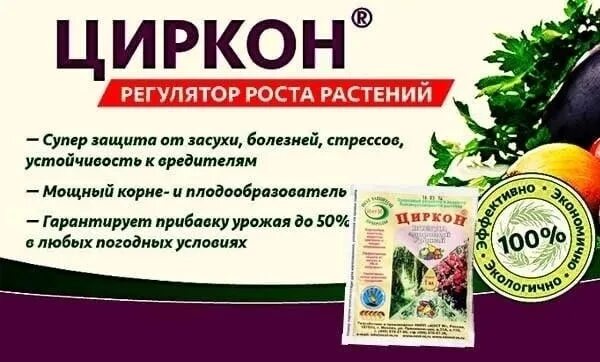 Поливают ли эпином под корень. Стимулятор роста для растений циркон. Циркон биостимулятор роста. Стимулятор роста циркон 1 мл. Циркон "НЭСТ М" 1мл.