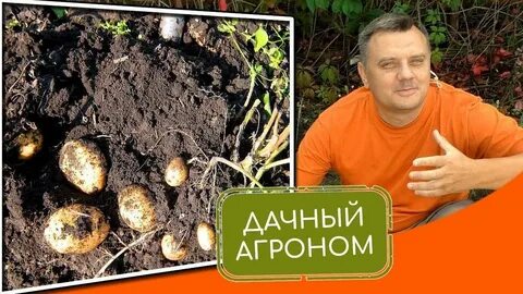 Дачный агроном