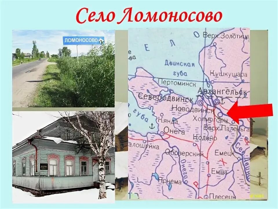 Ломоносово карта. Архангельская область. Деревня мишанинская. Село ломоносово на карте. Ломоносово карта.