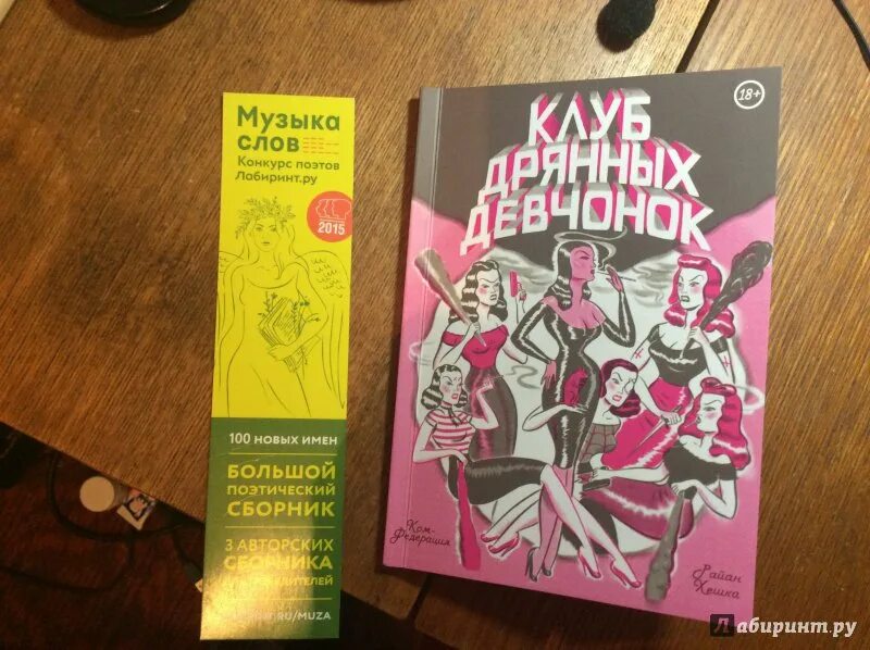Плохая девочка книга читать. Дневник из дрянные девчонки. дрянные девчонки книга. дрянная книга. записки дрянной девчонки.