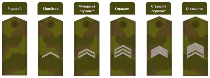 Какое звание можно получить срочнику