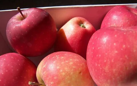 Apple skin 1.20