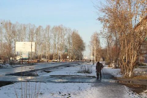 Гизметеоцентр лесной