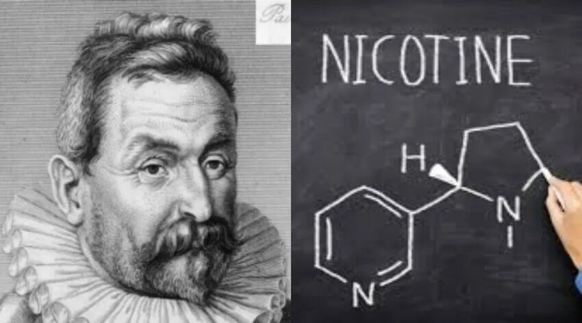 Никотин 13. Молекула кокаина. Никотин вредит здоровью. Никотин самый сильный яд. Жан вильман нико портрет.