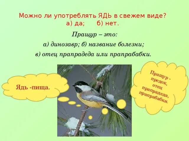 Значение слова пращур. Пращур. Пращур это кто. Пращур – это... А) динозавр б) название болезни в) отец прапрадеда. Пращуры синоним.