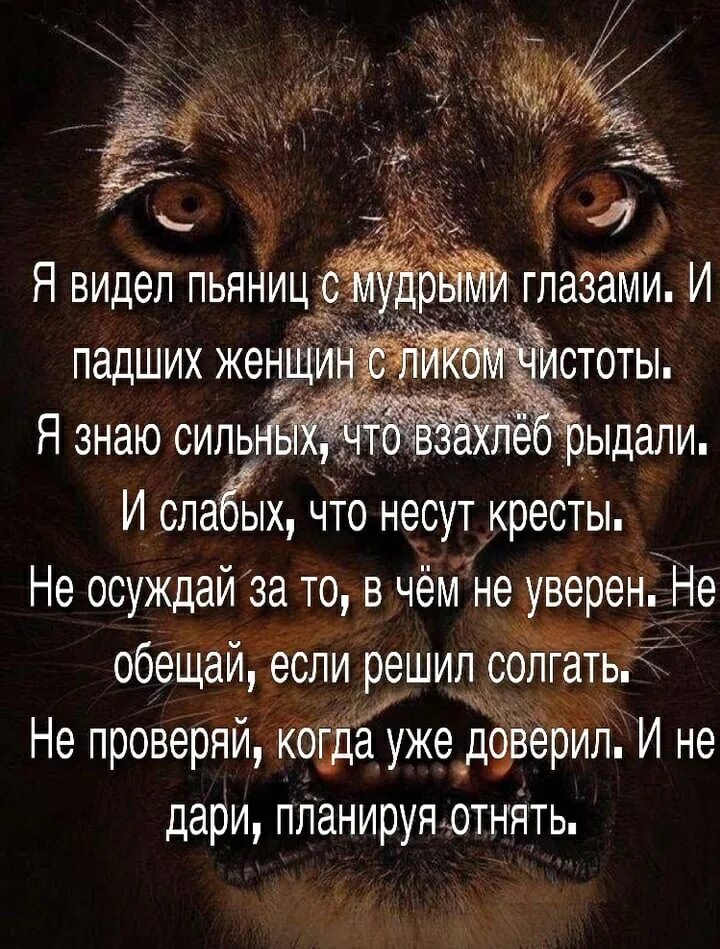 Я видел пьяниц с мудрыми глазами. Стих есенина я видел пьяниц с мудрыми. Стихи про падших женщин. Я знаю пьяниц с мудрыми глазами и падших женщин. Стихи падшей женщине.