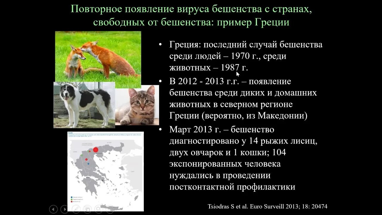 Бешенство заболеваемость. Распространенность бешенства. Профилактика распространения бешенства. Бешенство в люберцах 2024