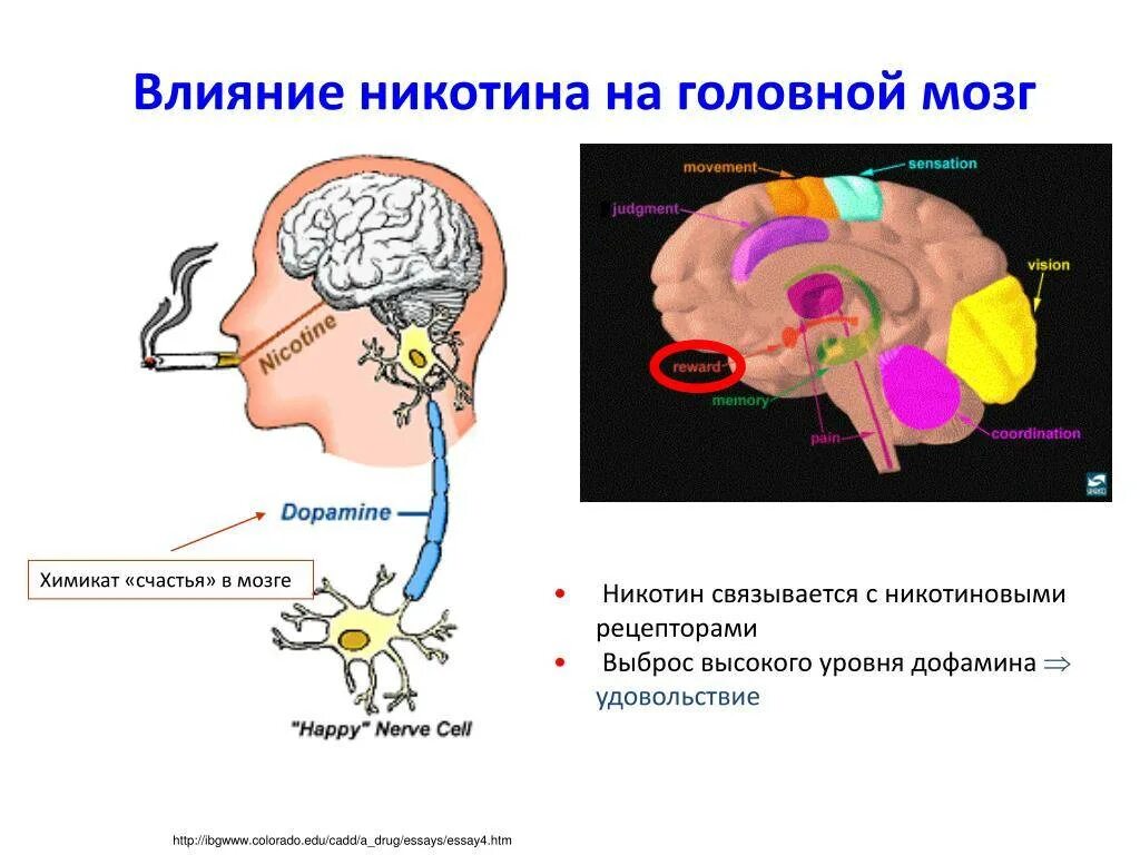 Под воздействием чего происходит