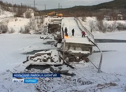 Погода шонгуй норвежский