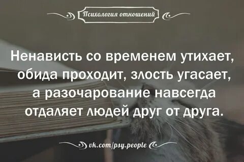 Смысл в отсутствии смысла в отношениях