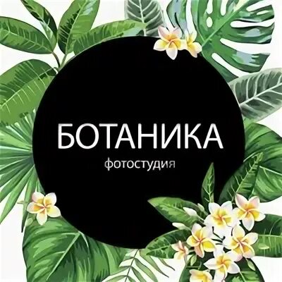 Фотостудия ботаника. Ботаники 2023