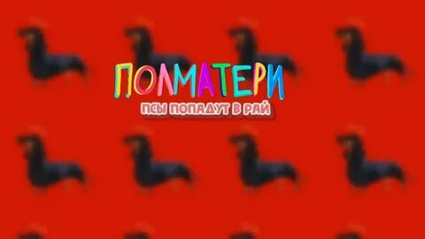 Песня полматери псы попадут в рай