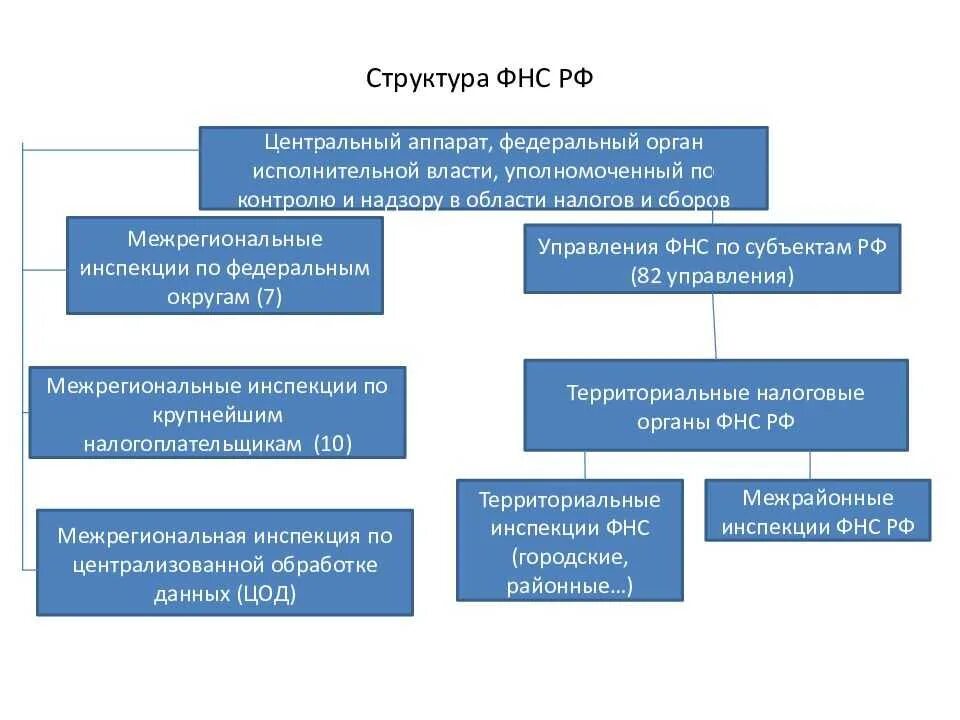 Деятельность налоговых органов рф. Структура Федеральной налоговой службы РФ схема. Структура управления ФНС России. Организационная структура ФНС РФ. Структура ФНС России 2021.