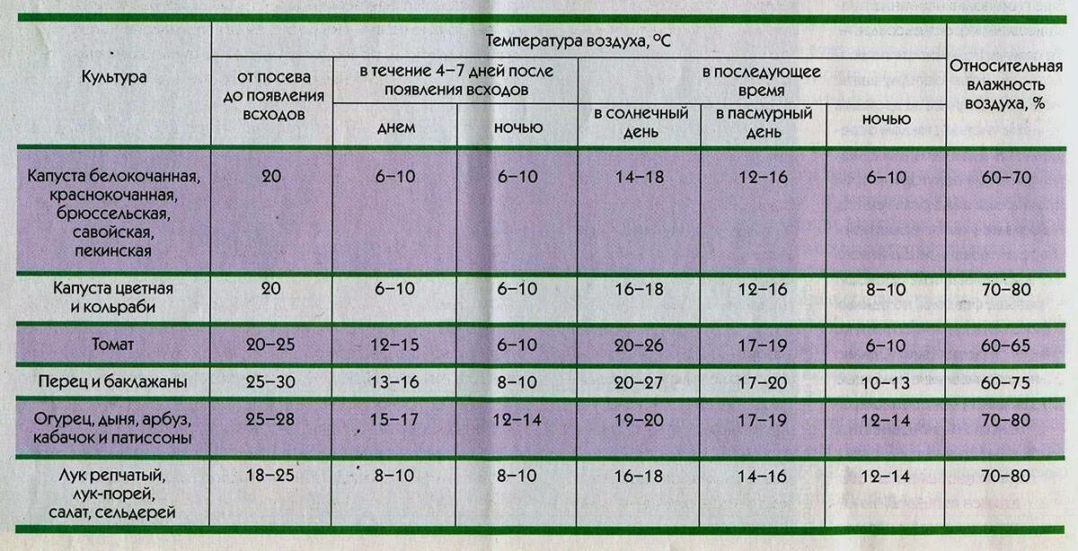 При какой температуре выращивать рассаду капусты. Температурный график для выращивания рассады томатов. Температурный режим для перцев и томатов в теплице. Температурный режим при выращивании рассады. Оптимальная температура в теплице для высадки рассады.