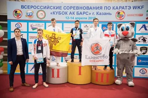 Кубок ак барс по каратэ
