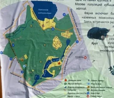 Покровское кутузовское покровское расписание