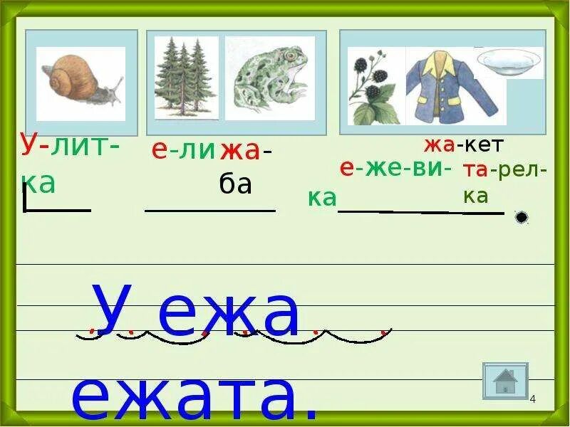 Сколько слогов в слове еж