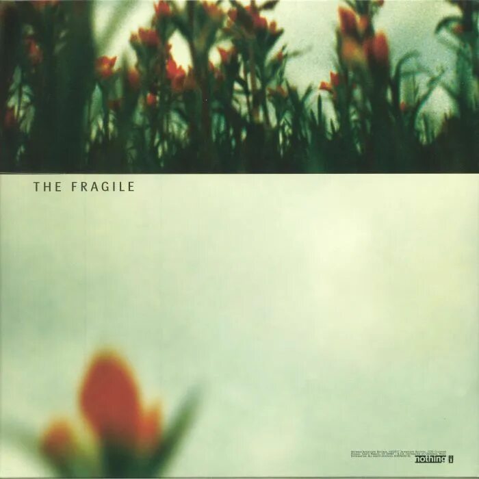 A fragile thing. Nine inch nails обложки. nine inch nails fragile. nine inch nails обложки альбомов. the fragile (1999).
