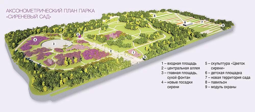 Сиреневый сад москва как добраться на метро. Ботанический сад москва сирень схема. план сада парка. планировка парков. планировка ботанического сада.