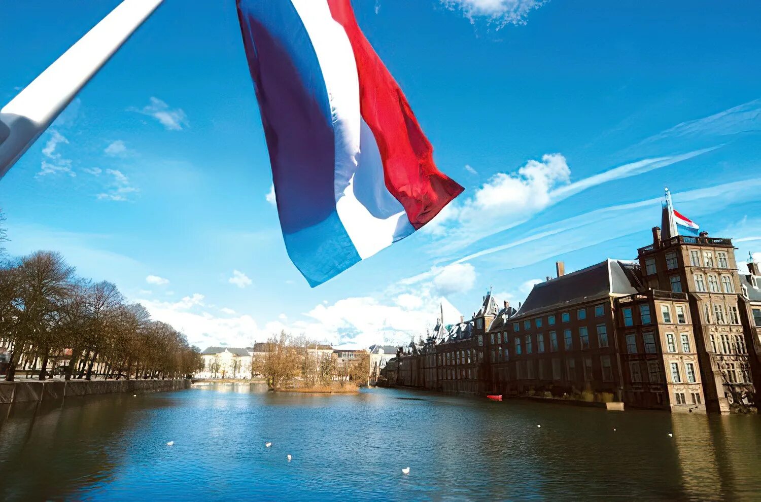Нидерланды особенности страны. Королевство Нидерланды парламент. Нидерланды флаг парламент. Нидерланды Амстердам флаг. Королевство Нидерланды Харло.