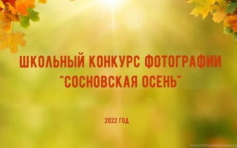 Подложка осень